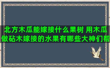 北方木瓜能嫁接什么果树 用木瓜做砧木嫁接的水果有哪些大神们帮帮忙